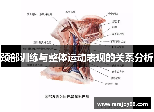 颈部训练与整体运动表现的关系分析
